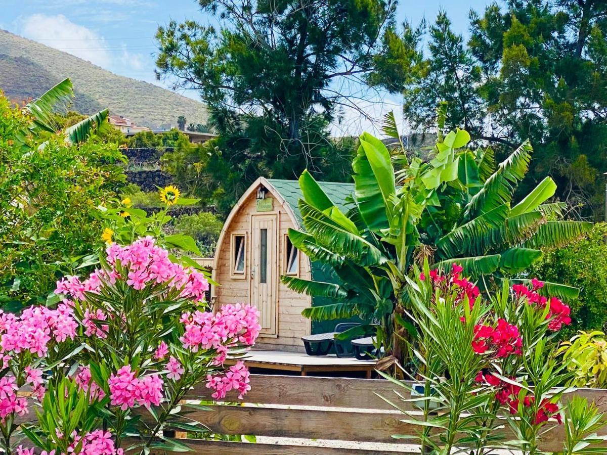 Casa de vacances Amani Con Jacuzzi Piscina Y Naturaleza Buzanada