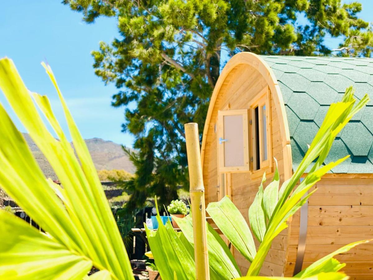 Casa de vacances Amani Con Jacuzzi Piscina Y Naturaleza Buzanada